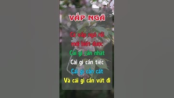 VẤP NGÃ #baihoccuocsong #cuocsong #tamlysong #relaxing #shorts #healing #kynangsong #xuhuong