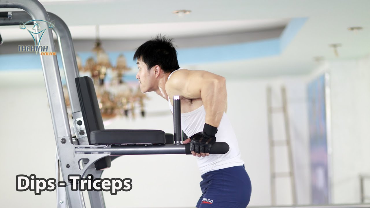 Cách chống xà kép tập tay sau đúng kỹ thuật Dips Triceps - YouTube