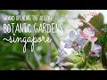 Grand Opening: The Alley &amp; Singapore Botanic Gardens!