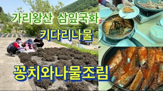 가리왕산 삼잎국화 산나물 가마솥에 삶아서 건조작업 라이브방송