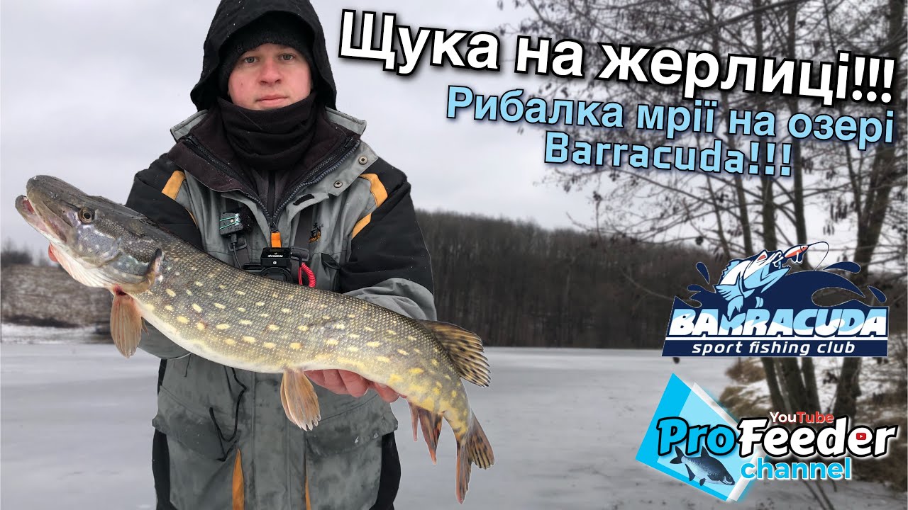 Рибалка мрії на озері Barracuda