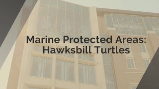 Research in Focus: Marine Protected Areas
