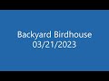 Backyard birdhouse 03212023  we got eggs lots of them