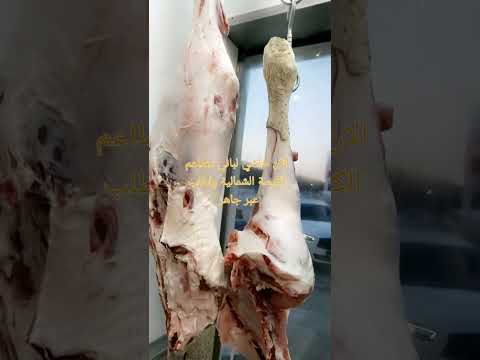 متوفر الان لحم حاشي لباني من مراعي القصيم لدى مطاعم الكبسة الشمالية 0506001705