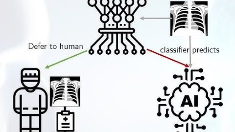 Who Should Predict? Exact Algorithms For Learning to Defer to Humans [AISTSATS2023]