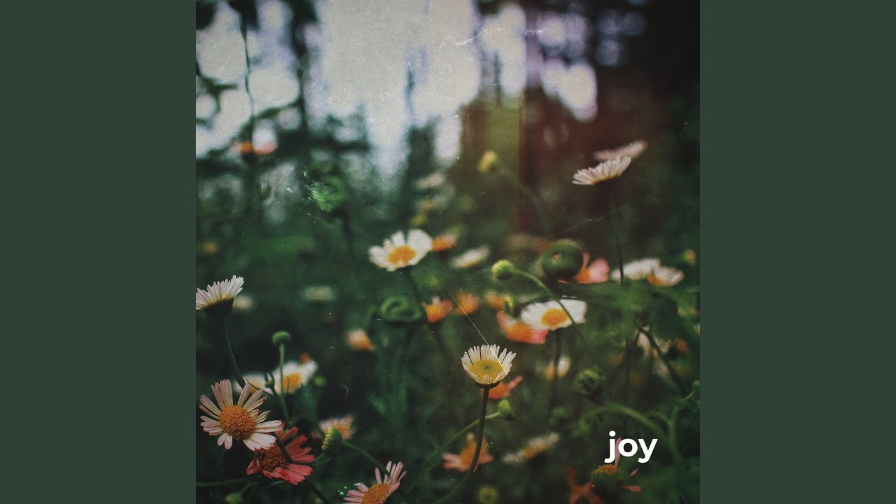 Joy - YouTube