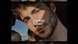 tarkan-dudu (sped up+reverb) Resimi