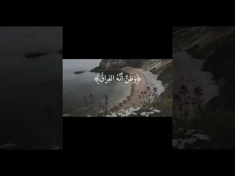 ماهر المعيقلي كلا إذا بلغت التراقي وقيل من راق