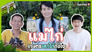 "แม่ไก่" เกษตรเสกได้ดั่งใจ : มหาอำนาจบ้านนา