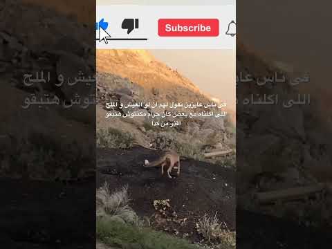 العيش و الملح تنمية الذات اكسبلور   اكتشف نفسك معلومات النجاح