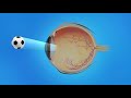 Agerelated macular degeneration amd types causes symptoms treatment