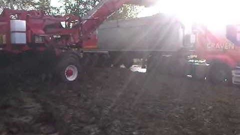 Loading Sugar Beet with JCB 434S and CTM 9553XL