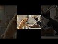 wafadar dogi.. 🐶🐕... MADE WITH AI by SB_AI_VIDEO_CREATOR. #phonk #ai #aivideo #viral #song #dog