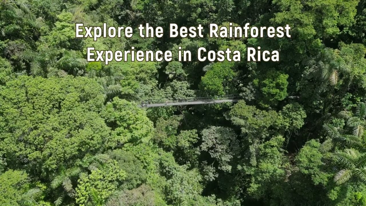 The Best Rainforest Experience in Costa Rica
