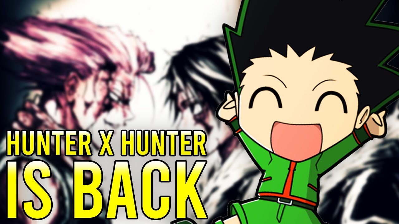 After The Hunter X Hunter Anime 