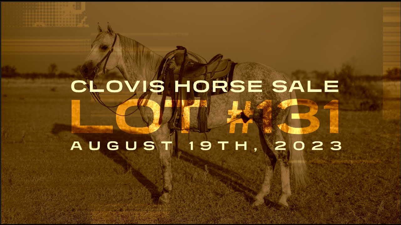 Lot 131 SJR Diamond King Gelding Clovis Horse Sale Consignment