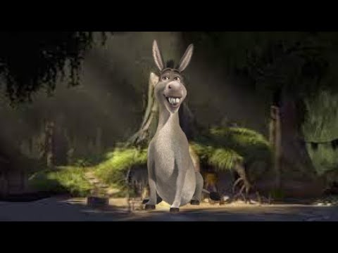 All Donkeys Funny Scenes Youtube