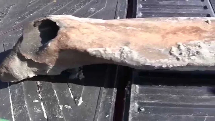 Amazing rib bone ...