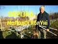 ОБРІЗКА |  МоЛодОї ЯблУні