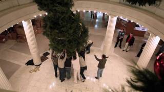 Arrival of the Capitol Christmas Tree 2011