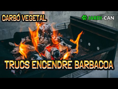 Vídeo: Com Encendre Carbó Vegetal