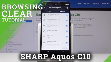 How to Clear Browser History in SHARP C10 - Wipe Browser Data