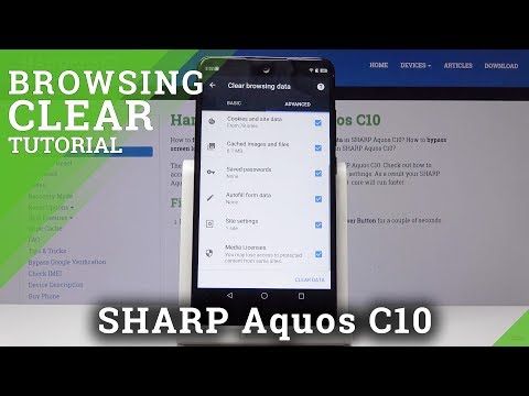 how-to-clear-browser-history-in-sharp-c10---wipe-browser-data