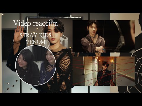 K-POP REACTION STRAY KIDS "거미줄"  | REACTION