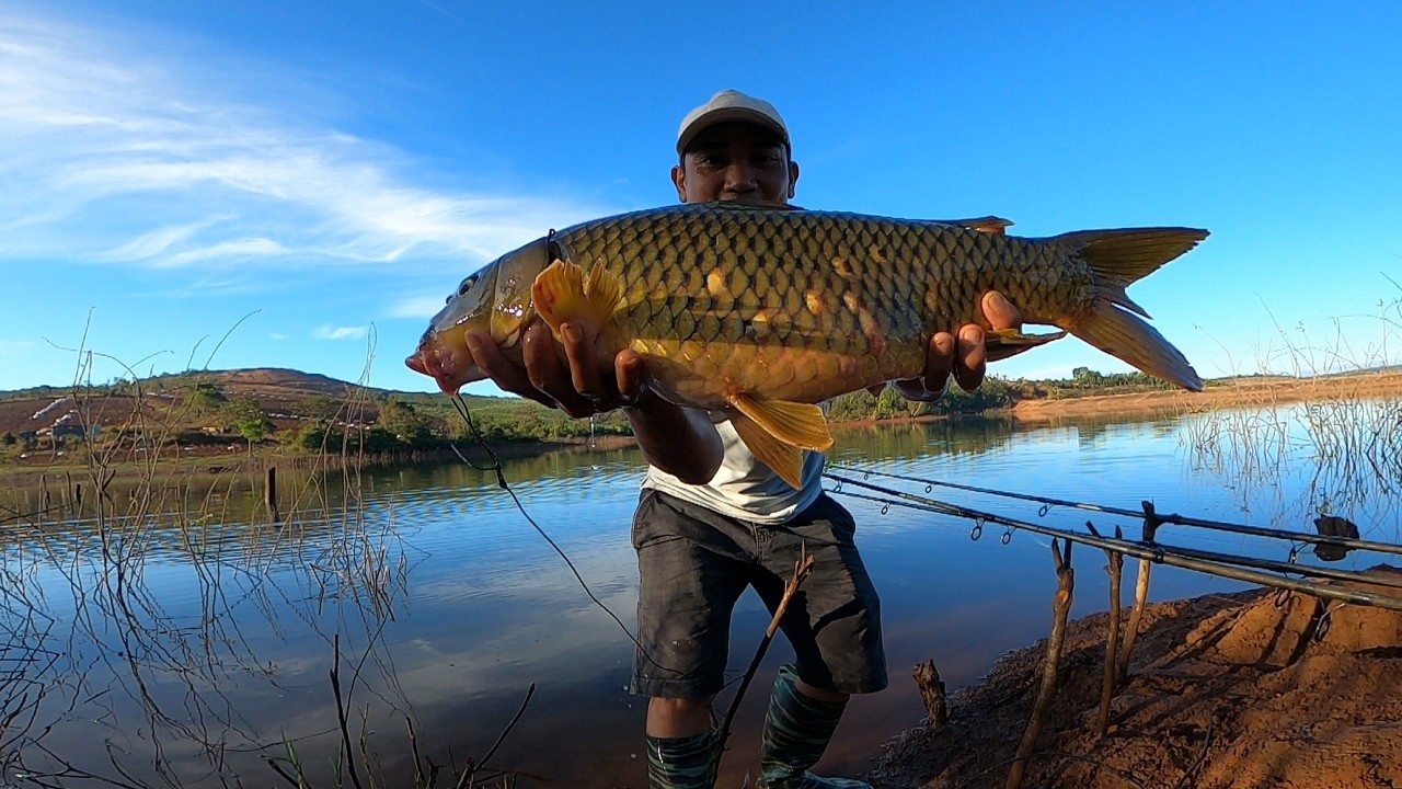 3 pha cá kéo chất lượng | 3 ngày 1 đêm câu lăng xê hồ Cường còi mùa khô | 2-3-2026