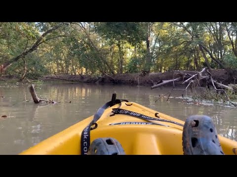 Video: 8 Faktov, Vďaka Ktorým Je Houston Takým Rádiovým Mestom - Sieť Matador