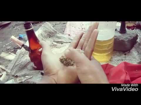 Ganja rockers....