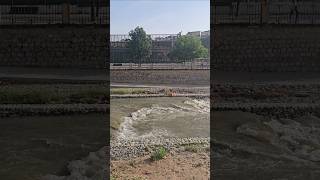 Así baja el río Genil el 23 de abril de 2026