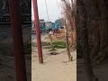 #viralvideo
