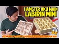 HAMSTER AKU MAIN LABIRIN MINI! BISAKAH HAMSTER AKU MELEWATI RINTANGAN INI?!