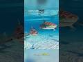Lemon Shark Baby's Beginner's Paradise #foryou #animals #fyp #ytshorts #nature