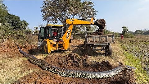 JCB 3dx Backhoe fully Loading Mud in Mahindra 475 JCB miti khudai work #jcb #jcbmitikhudai