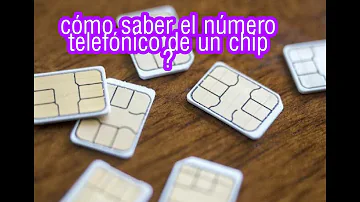 ¿Cuál es la vida útil de un chip?