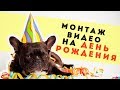 Монтаж видео с днем рождения: подробный урок!