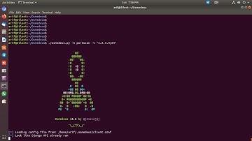 I will set up Osmedeus on Your Linux