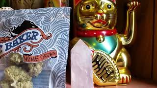 Diablo legal weed cannabis review of Mount Baker home grown pnw the reef Bremerton