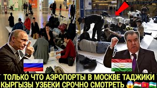 😡АЭРОПОРТЫ В МОСКВЕ ВСМ СРОЧНО СМОТРЕТЬ😱🇹🇯🇰🇬🇺🇿 ТАДЖИКИ