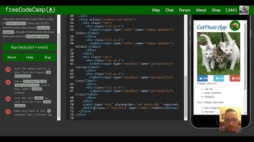 Style Text Inputs as Form Controls, freeCodeCamp Bootstrap Review, lesson 17
