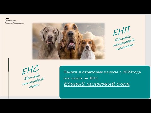 Налоги и отчетность в 2024 году