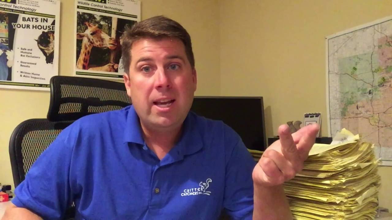 A word about Pricing & Guarantees of Bat Exclusion Work.