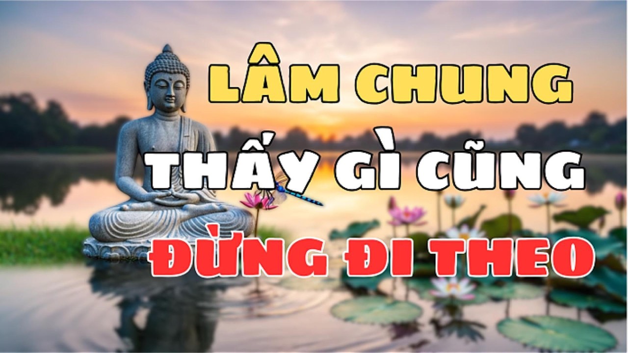 Sự thật kỳ lạ ở Cõi Tây Phương Cực Lạc - Pháp Sư Tịnh Không | Lá Bồ Đề Xanh