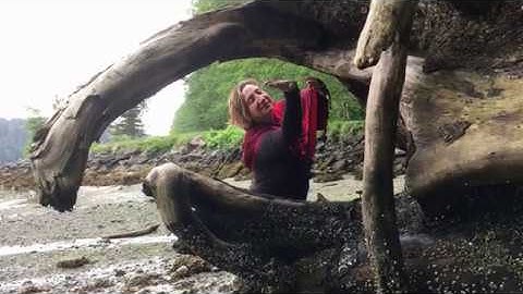 dissolving all boundaries