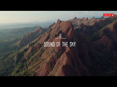 DJI MAVIC AIR