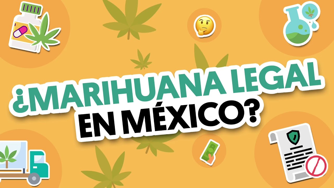 Legalización de la marihuana en Mexico - YouTube