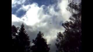 WTF! did i do wrong? (Arnold spotted a chopper while relaxing in patio) Helikopteri