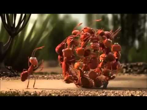 Мультфильм о работе в команде муравьи